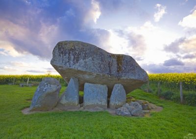 Brownshill Dolmen, Carlow