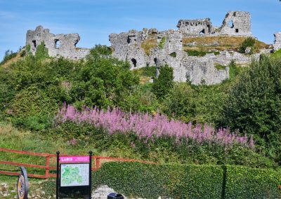 Rock of Dunamase, Co Laois
