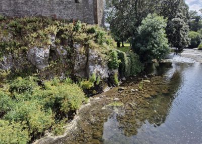 Spring at base of Cahir Castle